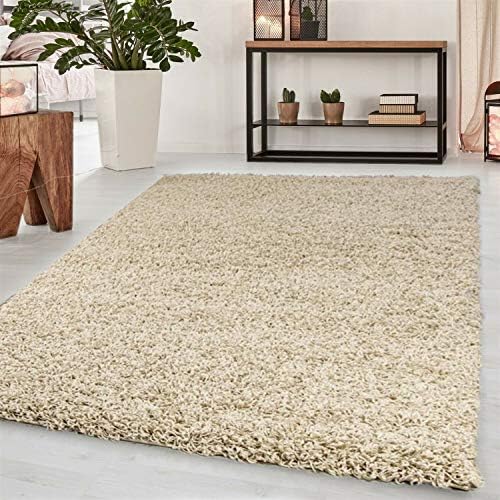 Abaseen Small Large Shaggy Rug Modern Rugs Living Room Extra Large Small Medium Rectangular Size Soft Touch Thick Pile Living Room Area Rugs Non Shedding (Light Beige, 60x110 cm)