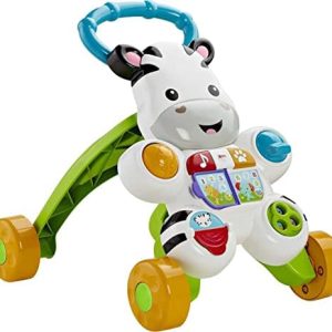 Fisher-Price 03708002549 DKH80 Learn with Me Zebra Walker