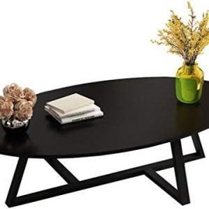 100cm/120cm Modern Coffee Table for Living Room Scandinavian Side Table Sofa End Table for Dining Coffee Snack or Reading Table Oval Design, Black