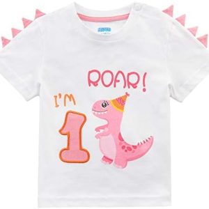 1st Birthday Girl T-Shirt Dinosaur Party B-Day Themed Tee Gift for Baby