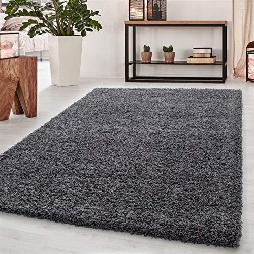 Abaseen Small Large Shaggy Rug Modern Rugs Living Room Extra Large Small Medium Rectangular Size Soft Touch Thick Pile Living Room Area Rugs Non Shedding (Dark Grey, 60x110 cm)