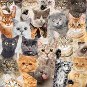 All The Cats 1000 Piece Jigsaw Puzzle