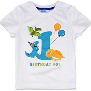 AMZTM 1st Boy Dinosaur Birthday Shirt Dinosaur First Birthday Outfits for Toddler Baby