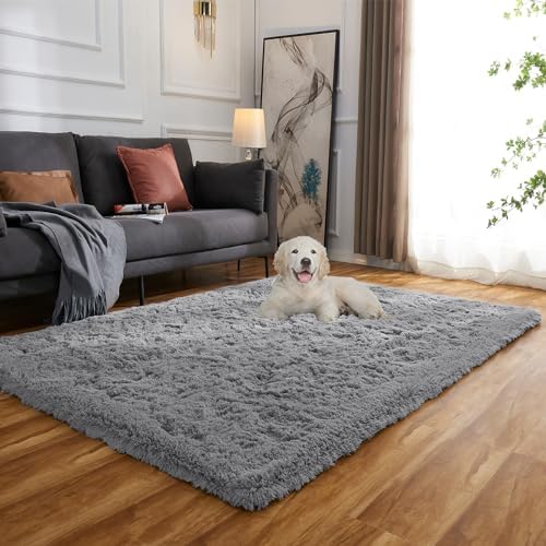 Evitany Area Rugs Fluffy Rugs Living Room Washable Rug Modern Anti Slip Carpet Fluffy Rugs for Bedroom(Grey, 80x120 cm)