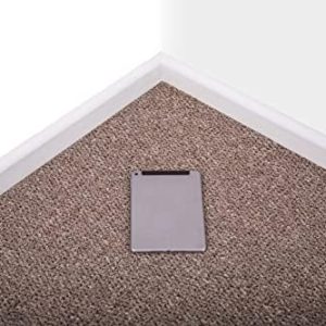 Grandismo Sand Shade Carpet - for Living Room, Bedrooms, Hallways, Stairs, Stain Free - Hard Wearing - Berber Loop Carpets 4m / 5m Pile Cheap (2metres x 4metres (6ft 6" x 13ft 1"))