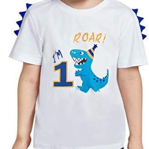 AMZTM Dinosaur Birthday T Shirt - Birthday Party Supplies Baby Boys Gift