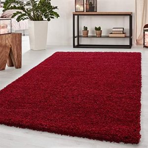 Abaseen Small Large Shaggy Rug Modern Rugs Living Room Extra Large Small Medium Rectangular Size Soft Touch Thick Pile Living Room Area Rugs Non Shedding (Red, 120x170 cm)