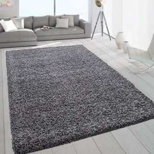 SASONS® Extra Large Shaggy Rug 5cm Thick Soft Pile Modern Fluffy Rugs for Living Room Bedroom Floor Carpet Mat Non Shedding Warm Colours Small Large X-Large Area Rugs (Dark Grey, 160 x 230cm)